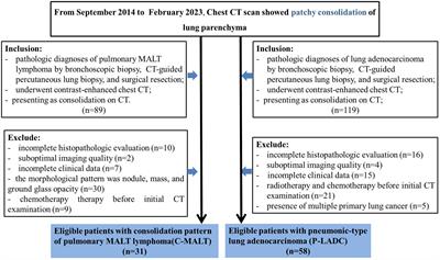 Evaluation of CT features for differentiating consolidation pattern of pulmonary MALT lymphoma from pneumonic-type lung adenocarcinoma